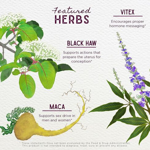 الدعم الحمل للخصوبة في Wishgarden Herbs - مكملات العشبية للخصوبة الطبيعية للنساء W/Vitex و Red Maca & Raspberry Leaf ، تدعم توازن الهرمونات الصحية والوظيفة الإنجابية ، 4 أوقية in Kuwait