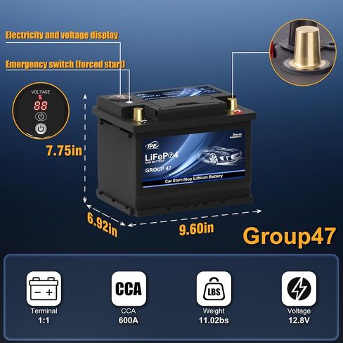 TPE Car Start-Stop Lithium Battery BCI Group47 LiFePO4 Lithium-ion Car Battery Lightweight Design Auto Lithium Battery 12.8V 600A High-Performance Car Battery in Kuwait