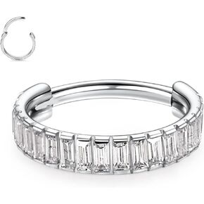 FUNLMO 316L Surgical Steel Hinged Segment Ring Conch Helix Septum Piercing Jewelry Nose Ring Hoop Huggie Earrings Small Hoop Earring