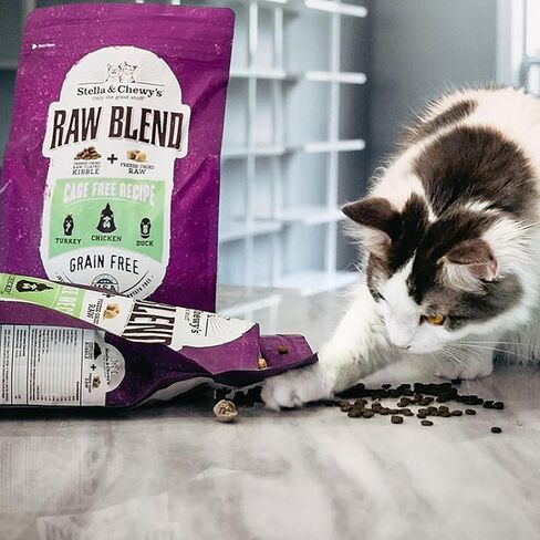 Stella & Chewy's Raw Blend Premium Kibble Cat Food – Grain Free, Protein Rich Meals – Wild-Caught Fish Recipe – 2.5 lb. Bag in Saudi Arabia