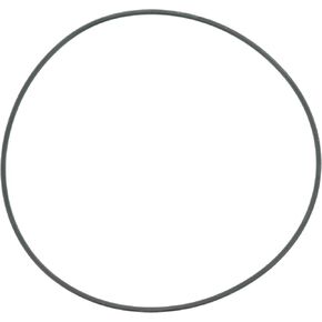 Spicer 54983 Locking Hub O-Ring