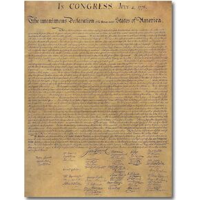 Declaration of Independence poster 18x24 LARGE classroom chart décor Laminated Replica Young N Refined