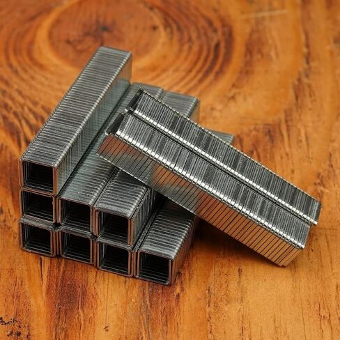 Proferred T42002 Staples, 1.2 mm Thick x 10.6 mm Wide, 5/16" (8 mm) Height in Saudi Arabia