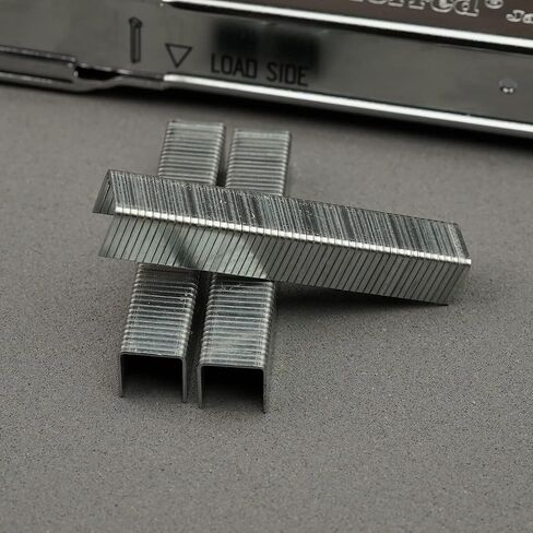 Proferred T42002 Staples, 1.2 mm Thick x 10.6 mm Wide, 5/16" (8 mm) Height in Saudi Arabia