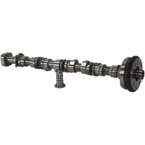 Exhaust Camshaft & Adjuster Valve 06K109022R Compatible with VW Golf AUDI A4 Q5 06K109022L