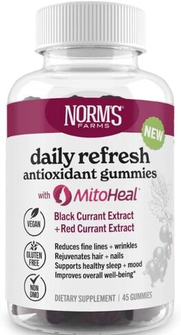 Norm's Farms Daily Immune Elderberry Gummies - Vitamin C, Zinc & Probiotics - Vegan, Gluten Free, Kosher, Non-GMO - 60 Gummies in Kuwait