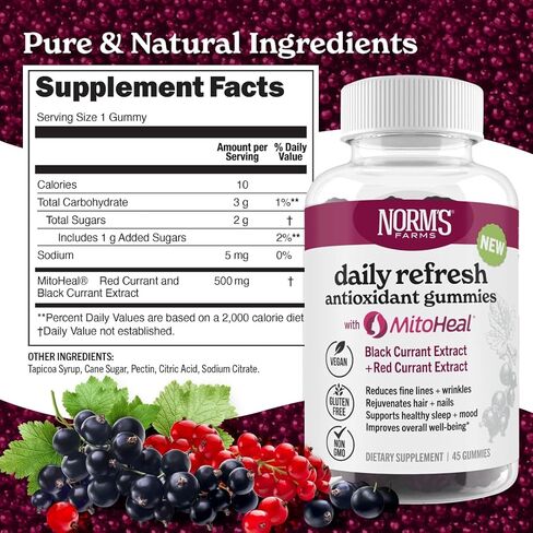 Norm's Farms Daily Immune Elderberry Gummies - Vitamin C, Zinc & Probiotics - Vegan, Gluten Free, Kosher, Non-GMO - 60 Gummies in Kuwait