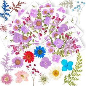 100 Pieces (10 Packs) Real Pressed Dried Flowers for Resin Molds, Dry Flowers for Crafts. Suitable for Resin,Scrapbooking,Crafts,Face Decorations,etc. (Multi Color B)