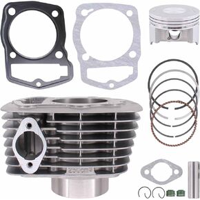 ApplianPar Cylinder and Piston 65.5mm Rings Gaskets Set for Honda SL230 ATC200X XL200 XR200 ATC200 250cc