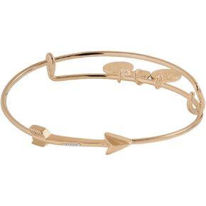 Alex and Ani In-Line Arrow Bangle