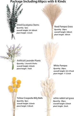 Serra Flora Natural Dried Pampas Eucalyptus Rabbit Tail Grass,(Pack of 66pcs) with 6 Kinds of DIY Bridal Artificial Bouquets Home Decor Wedding Floral Arrangement Table Centerpieces in Saudi Arabia