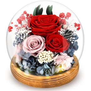 هدايا زهور عيد الأم يوم الأمهات المحفوظة روز في قبة زجاجية إلى الأبد الزهور الورود الأبدية مع هدايا عيد ميلاد للأزهار الحقيقية الخفيفة للنساء جدة أمي ، الأرجواني