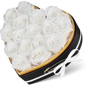 16 Preserved Roses in Heart Shape Gift Box for Her - Forever Flowers for Delivery, Eternal Rose Mothers Gifts for Mom, Wife Anniversary Birthday Gifts for Women, Red