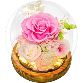 RENAISSANT Red Preserved Flowers Gift for Mom with Sapphire Necklace in Mother's Day, Unique Preserved Rose with Teddy Bear Gift Box for Girlfriend in Birthday Anniversary（Delivery Prime）