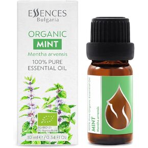 Organic Mint Essential Oil 1/3 Fl Oz (10ml) Mentha Arvensis - 100 ٪ نقي طبيعية وغير مخففة للعلاج العطري النقي.