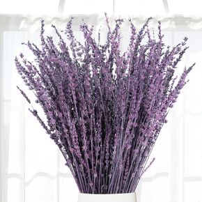 3.5oz Dried Purple Lavender Bouquet - About 230 Stems 100% Real Fresh Lavender Flowers, Natural Aroma for Home Decor, Bedroom, Gift & DIY, Rustic Farmhouse & Boho Style