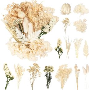 Real Bulk Dried Flowers, Pressed Dried Flower with Stems for Crafts Mini Dried Flowers for Vase Resin Dry Flowers DIY Home Arts Decor
