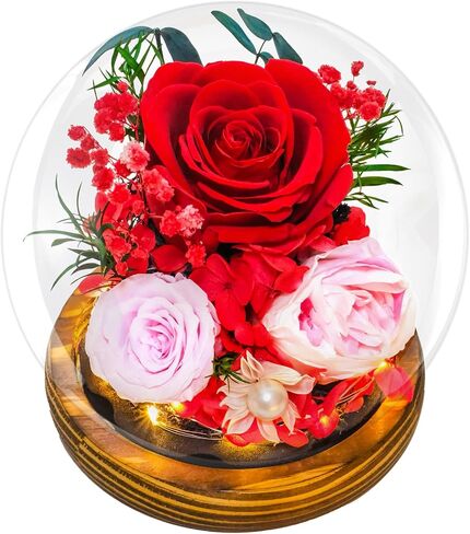 RENAISSANT Red Preserved Flowers Gift for Mom with Sapphire Necklace in Mother's Day, Unique Preserved Rose with Teddy Bear Gift Box for Girlfriend in Birthday Anniversary（Delivery Prime） in Saudi Arabia