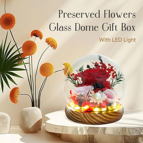 RENAISSANT Red Preserved Flowers Gift for Mom with Sapphire Necklace in Mother's Day, Unique Preserved Rose with Teddy Bear Gift Box for Girlfriend in Birthday Anniversary（Delivery Prime） in Saudi Arabia
