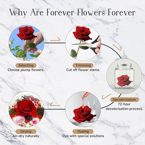 RENAISSANT Red Preserved Flowers Gift for Mom with Sapphire Necklace in Mother's Day, Unique Preserved Rose with Teddy Bear Gift Box for Girlfriend in Birthday Anniversary（Delivery Prime） in Saudi Arabia