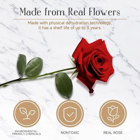 RENAISSANT Red Preserved Flowers Gift for Mom with Sapphire Necklace in Mother's Day, Unique Preserved Rose with Teddy Bear Gift Box for Girlfriend in Birthday Anniversary（Delivery Prime） in Saudi Arabia