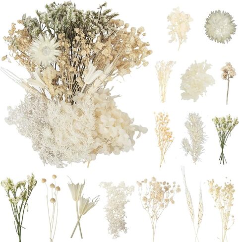 Real Bulk Dried Flowers, Pressed Dried Flower with Stems for Crafts Mini Dried Flowers for Vase Resin Dry Flowers DIY Home Arts Decor in Saudi Arabia