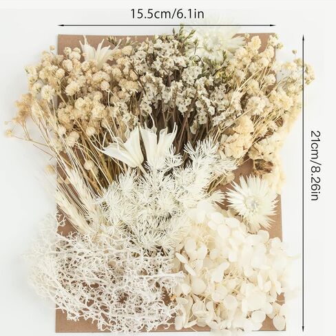 Real Bulk Dried Flowers, Pressed Dried Flower with Stems for Crafts Mini Dried Flowers for Vase Resin Dry Flowers DIY Home Arts Decor in Saudi Arabia