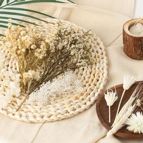 Real Bulk Dried Flowers, Pressed Dried Flower with Stems for Crafts Mini Dried Flowers for Vase Resin Dry Flowers DIY Home Arts Decor in Saudi Arabia
