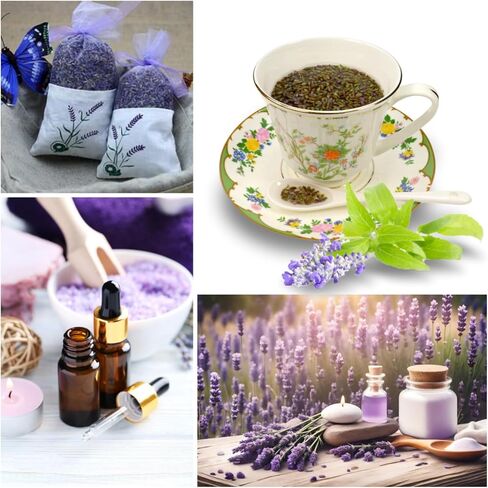 Dried Lavender Buds 100% Natural Dried Lavender Flowers, Suitable for Making Soaps, Candles, Essential Oils, Wardrobe Lavender Fresh Sachets 200g in Kuwait