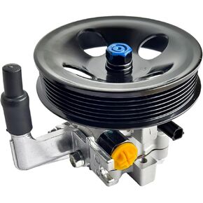 571002P200 Power Steering Pump with Pulley Fits for Hyundai Santa Fe 2.4L L4 2010-2012, Compatible for Kia Sorento 2.4L L4 2011-2013, Power Assit Pump with Pulley Replace OE# 571001U000, 571002P200