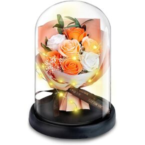 Forever Flowers for Delivery Prime Birthday Bouquet Gifts for Women,Light Up Preserved Roses in Glass Dome for Mom,Eternal Rose Valentines Gifts for Her(Champagne Rose)