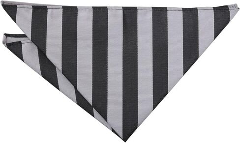DQT Classic Stripe Tie و Pocket Square مجموعة للرجال in Kuwait