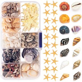 Natural Tiny Shells Set, Including Sea Shells, Starfish and Sea Snails Approx.250 pcs (9 Kinds), Shells for Bottle Ornament, Wall art and Beach Decor