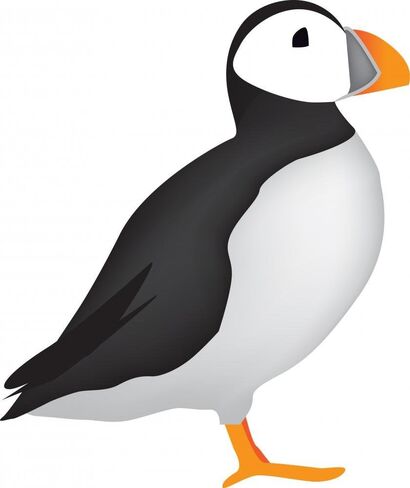 ملصق حائط من نوع Puffin قابل للتقشير واللصق (12 بوصة ارتفاع × 10 بوصة عرض) WM355579 in Saudi Arabia