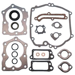 Engine Gasket Kit Set for B/S 497316 590508 794307 Z1021