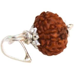 2 to 9-100% Original Rudraksha Pendant Bead Yoga Hindu Prayer Meditation Rudraksha Pendant genuine Mukhi Faces Beads Rudraksha Necklace Jewelry Rudraksha Round Bead