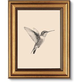 VIYYIEA Vintage Gold Framed Wall Art for Living Room, Birds Canvas Prints Home Decor, Sketch Painting Picture, Bedroom Wall Decor Gifts for Friends or Family -【Hummingbird】-(10L x 8W)