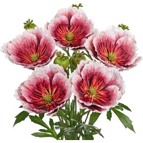 Hollyone 5Pcs Red Poppy Flowers Artificial Bouquet 32.2" Silk Fake Poppy Flowers Arrangement Real Touch Faux Poppies Flower Long Stem for DIY Wedding Party Table Centerpiece Table Home Decor