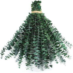 Dried Eucalyptus for Shower, 32pcs Preserved Fresh Eucalyptus Stems Real Shower Plant for Bathroom SPA