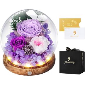 Preserved Roses in Glass Dome with LED Light - Long Lasting Real Roses, Forever Flowers for Delivery, Mothers Gifts for Her, Mom, Wife Anniversary Birthday Gifts for Women, Champagne