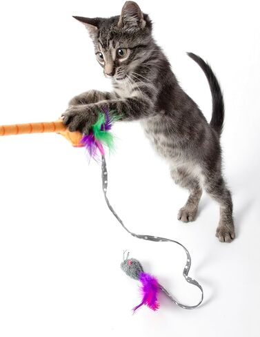 Hartz Just For Cats Twirl and Whirl Interactive Cat Toy Wand, All Breed Sizes in Kuwait