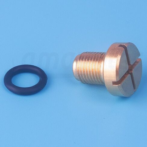 Radiator Coolant Expansion Tank Bleeder Screw Fit for BMW X1 X3 E46 E92 E90 E36 E39 Mini Cooper. OEM#: 17111712788. (2 Pcs) in Saudi Arabia