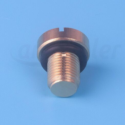 Radiator Coolant Expansion Tank Bleeder Screw Fit for BMW X1 X3 E46 E92 E90 E36 E39 Mini Cooper. OEM#: 17111712788. (2 Pcs) in Saudi Arabia