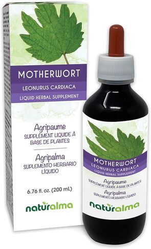Naturalma Motherwort (Leonurus cardiaca) herb with Flowers Alcohol-Free Tincture - 6.76 fl oz Liquid Extract in Drops - Herbal Supplement - Vegan in Kuwait