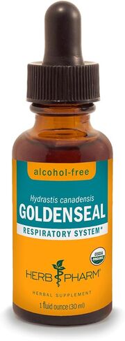 مستخلص سائل Goldenseal العضوي المعتمد من Herb Pharm لدعم الجهاز التنفسي - 4 أونصة in Kuwait