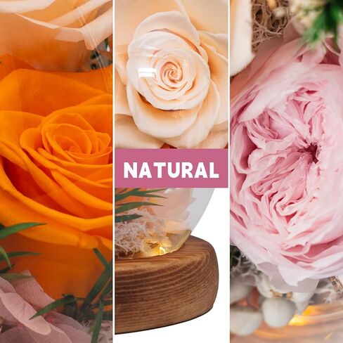 Eternal Flowers for Decoration: Preserved Flowers in Glass Dome, Unique Forever Flowers Gift for Her BBF – Perfect Decorative Flowers for Home Décor - Flowers for Delivery Prime (Champagne) in Kuwait