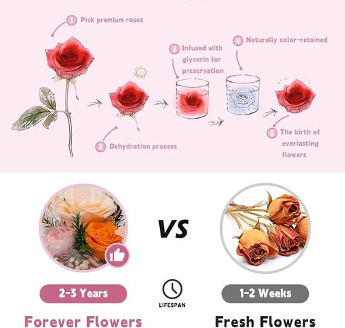 Eternal Flowers for Decoration: Preserved Flowers in Glass Dome, Unique Forever Flowers Gift for Her BBF – Perfect Decorative Flowers for Home Décor - Flowers for Delivery Prime (Champagne) in Kuwait