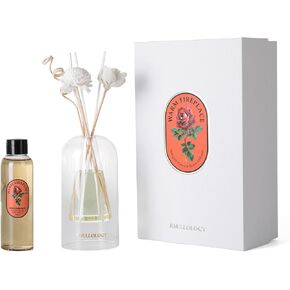Home & Office Art Decoration Reed Diffuser,4oz(120ml),Preserved Flower Diffuser Oil Gift Set (Warm Fireplace)