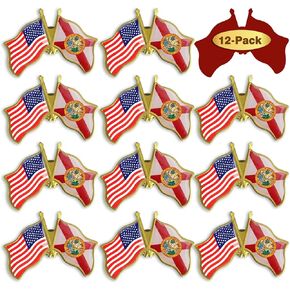6/12/50/100 Pack-American State Florida Flag Lapel Pins Friendship Bulk -1.5"