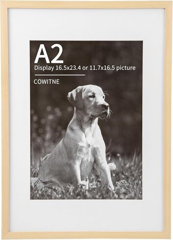 16.5 x 23.4 A2 Picture Frame Matted to A3 Solid Wood Plexiglass Natural Fit Poster Print 11.7x16.5 with Mat Opening or 16.5x23.5 without Matt Horizontal or Vertical for Wall Hanging in Saudi Arabia